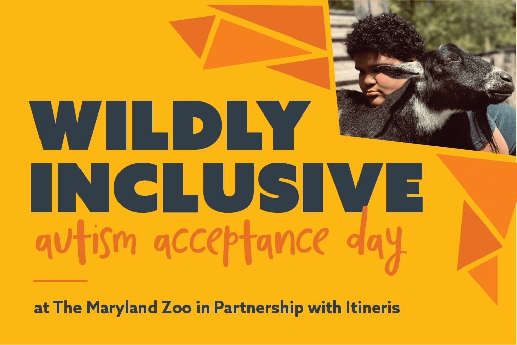 Autism Acceptance Day | The Maryland Zoo