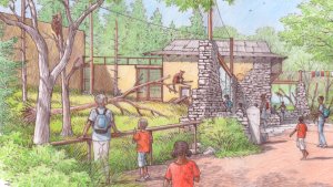 Red Panda habitat concept drawing. Guests using stone bricks and glass to view the Red Panda.