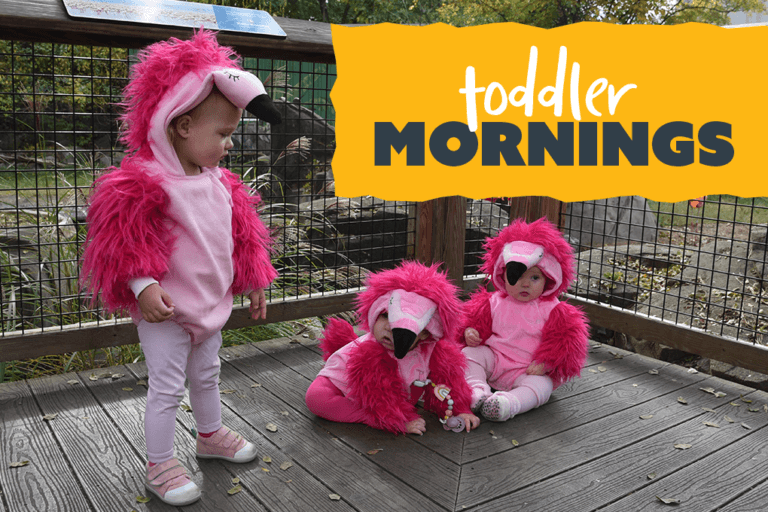 Three toddlers dressed in pink flamingo costumes standing and sitting on the boardwalk within the zoo.