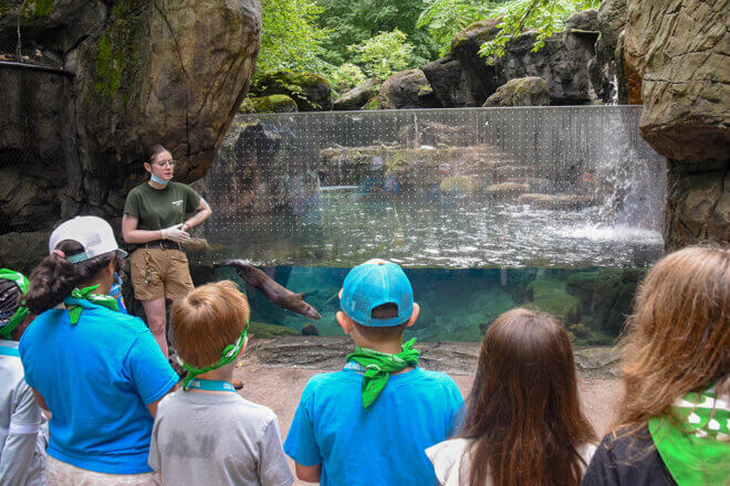 Zoo Camp image