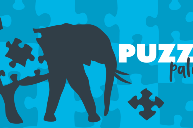 Puzzle palooza