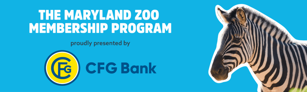 The Maryland Zoo Membership Program proudly presented by CFG Bank