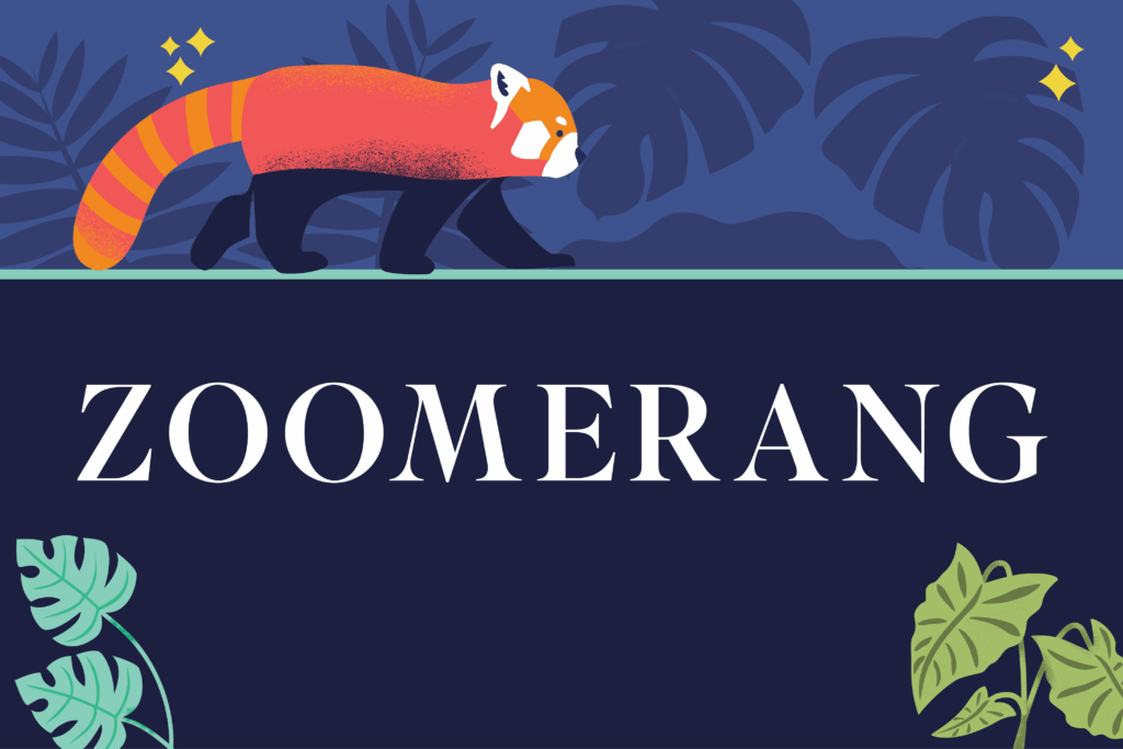 Zoomerang