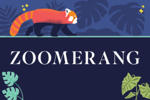 Zoomerang