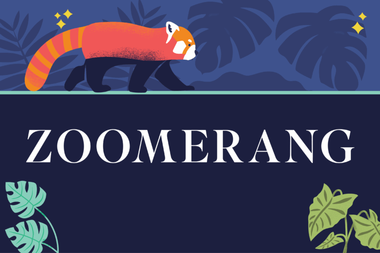 Zoomerang