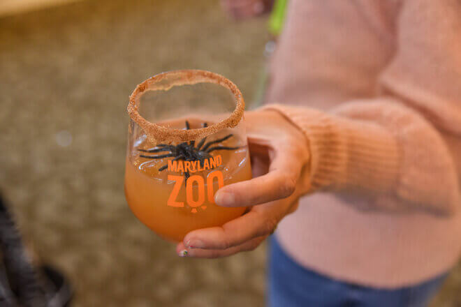 Witches' Brew: Mixology at the Zoo | The Maryland Zoo