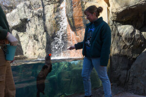 Otter encounter