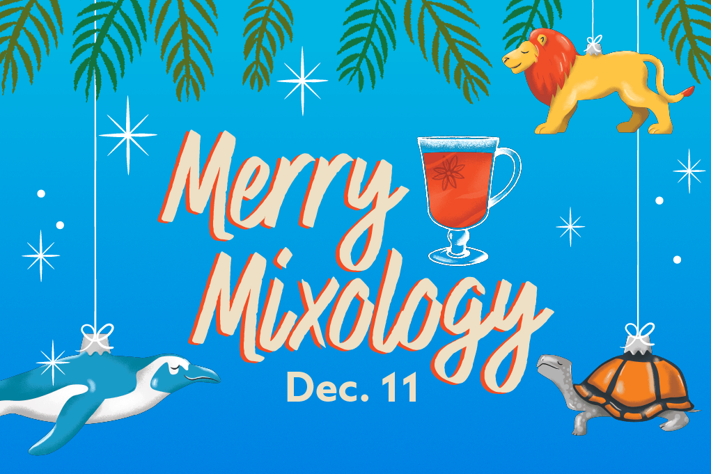 Merry Mixology, Dec. 11