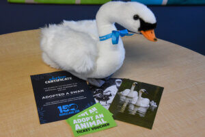 Limited edition 150th anniversary swan adopt plush