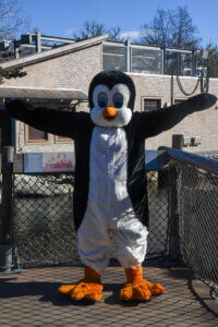 New penguin mascot outside at Penguin Coast
