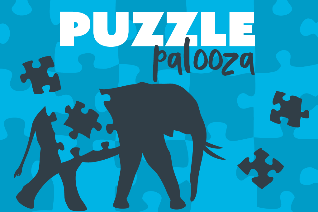 Puzzle Palooza