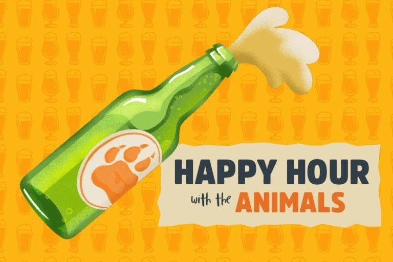 Happy Hour with the Animals
