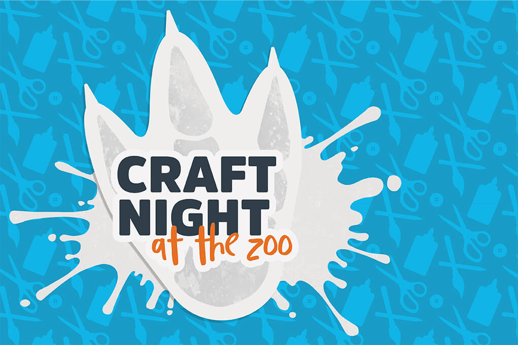 Craft Night at the Zoo