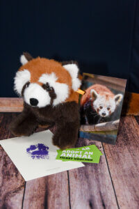 Red Panda adoption package including plush, photograph, print, and admission tickets