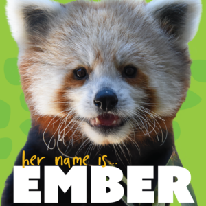 Red Panda "her name is... Ember"