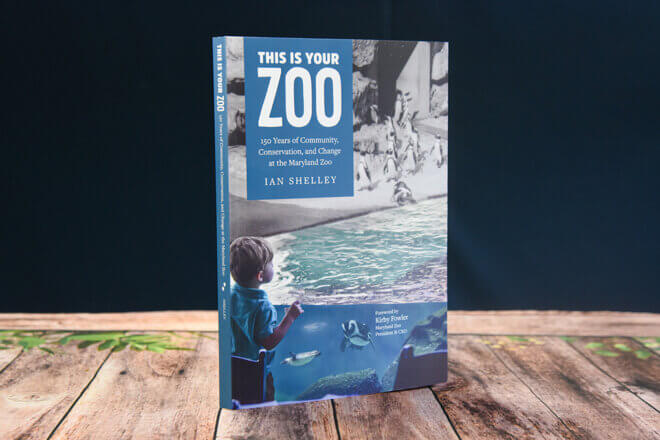 This is Your Zoo image