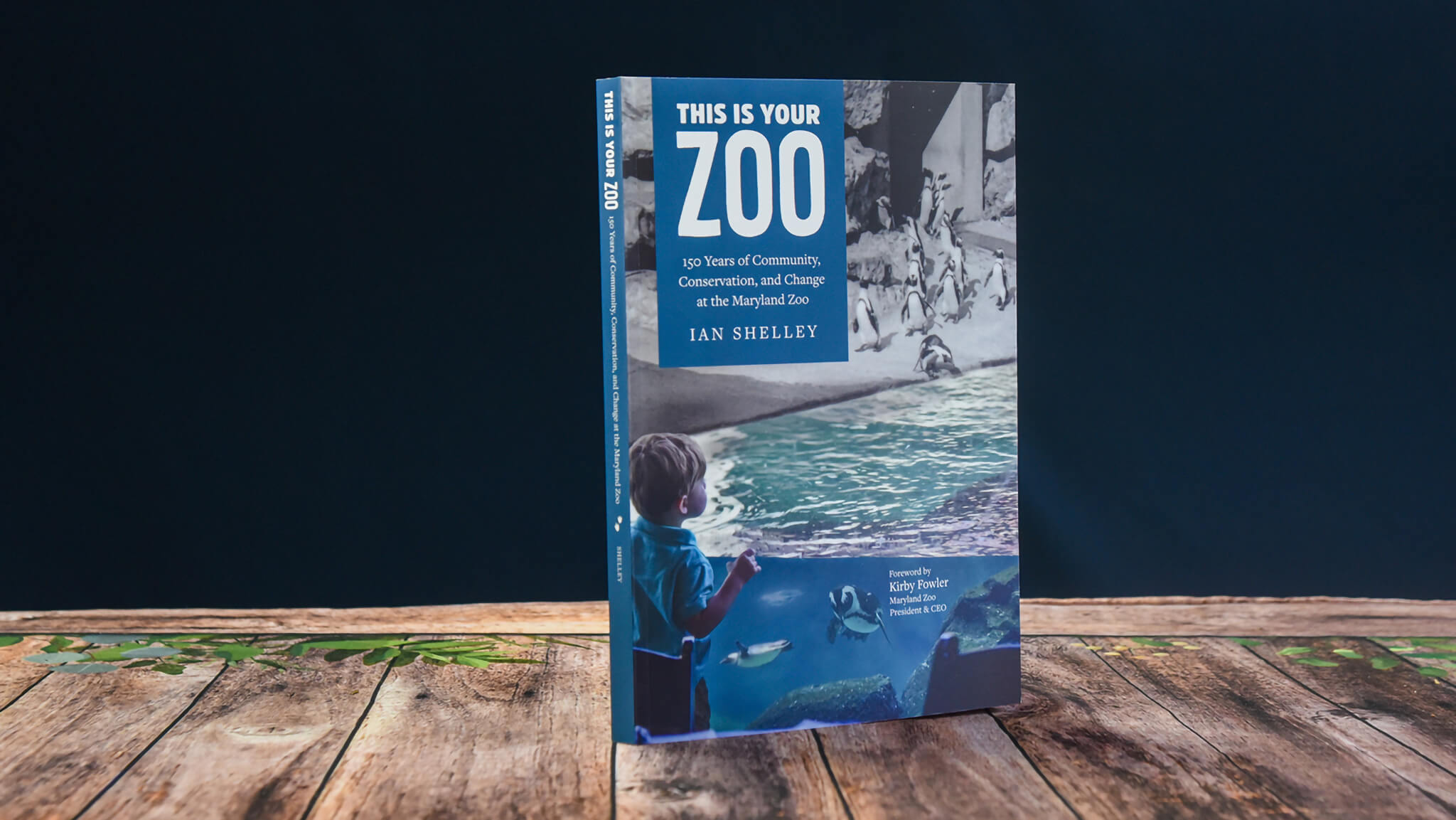 This is your Zoo book on table