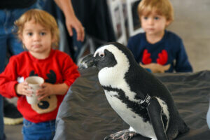 Kids looking up at penguin ambassador