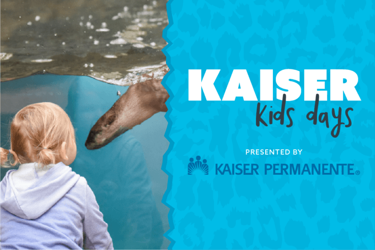 Kaiser Kids day