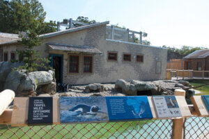 Penguin Coast habitat