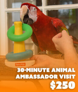 30-minute animal ambassador visit $250