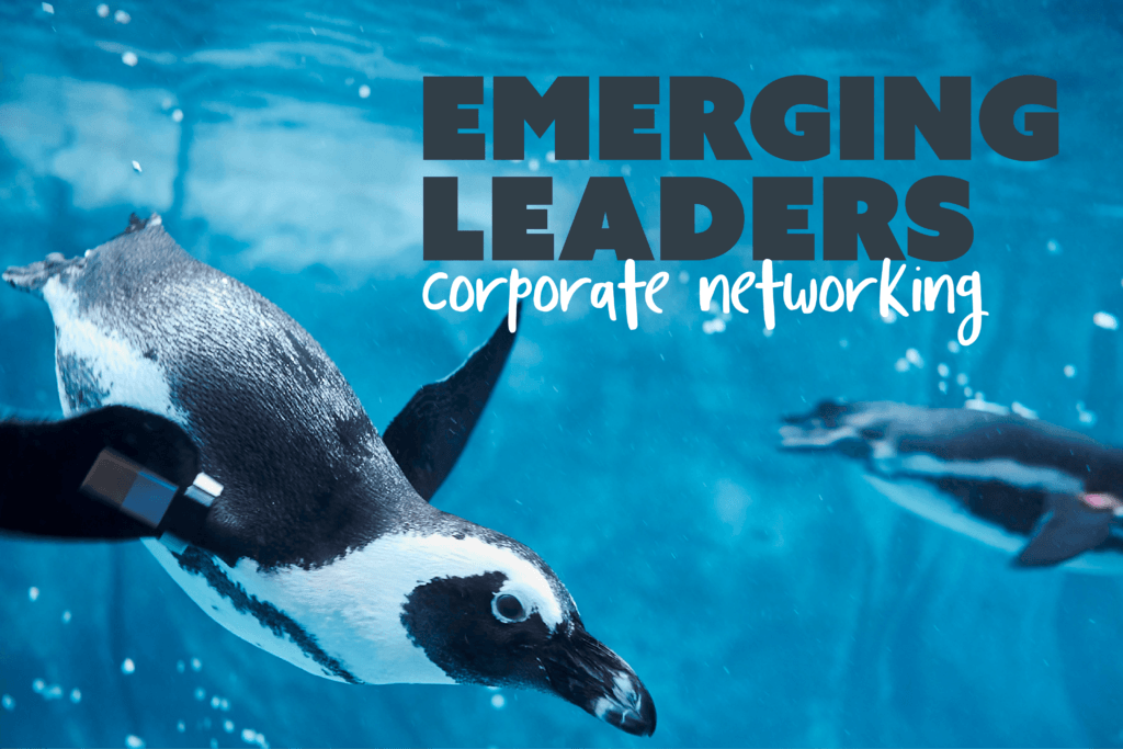 Emerging Leaders, Corporate Networking