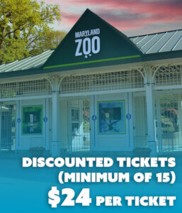 Discounted tickets (Minimum of 15) $24 per ticket